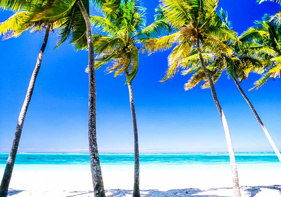 13-days-tanzania-wildlife-and-zanzibar-safari