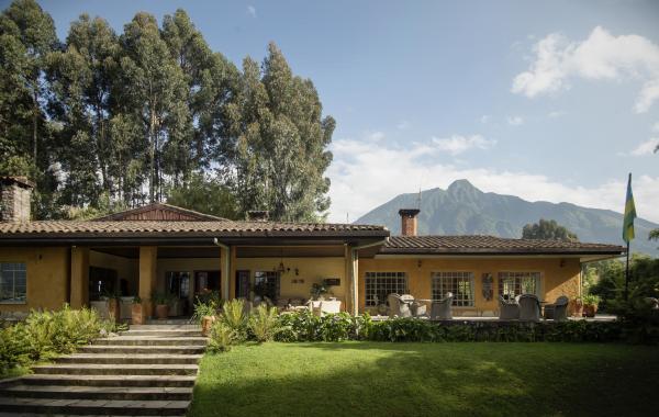 LOW SEASON TOUR PACKAGES GORILLA & CHIMPANZEE TREKKING 2024